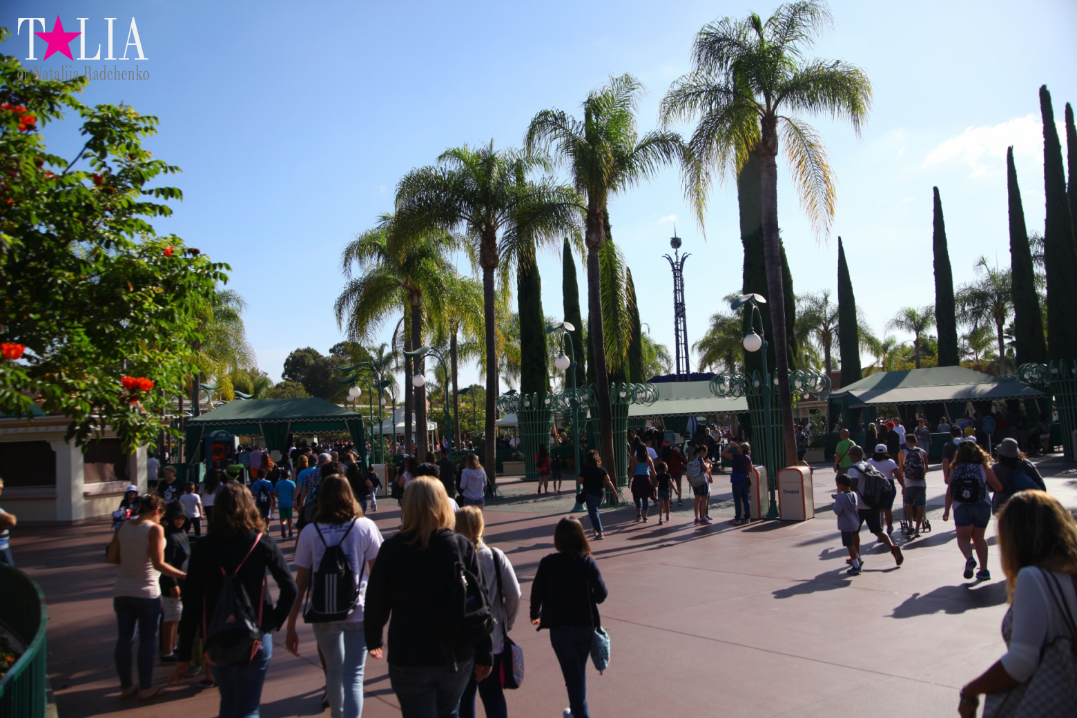 How to celebrate Halloween at the American Disneyland - decoration of the park  for Halloween