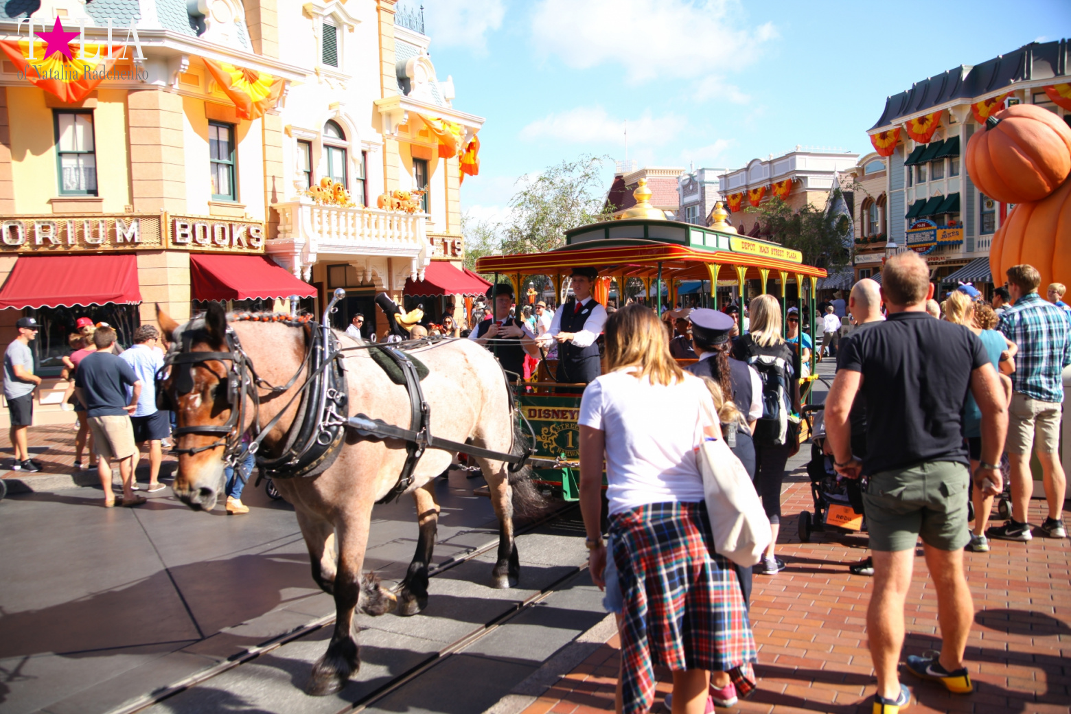How to celebrate Halloween at the American Disneyland - decoration of the park  for Halloween
