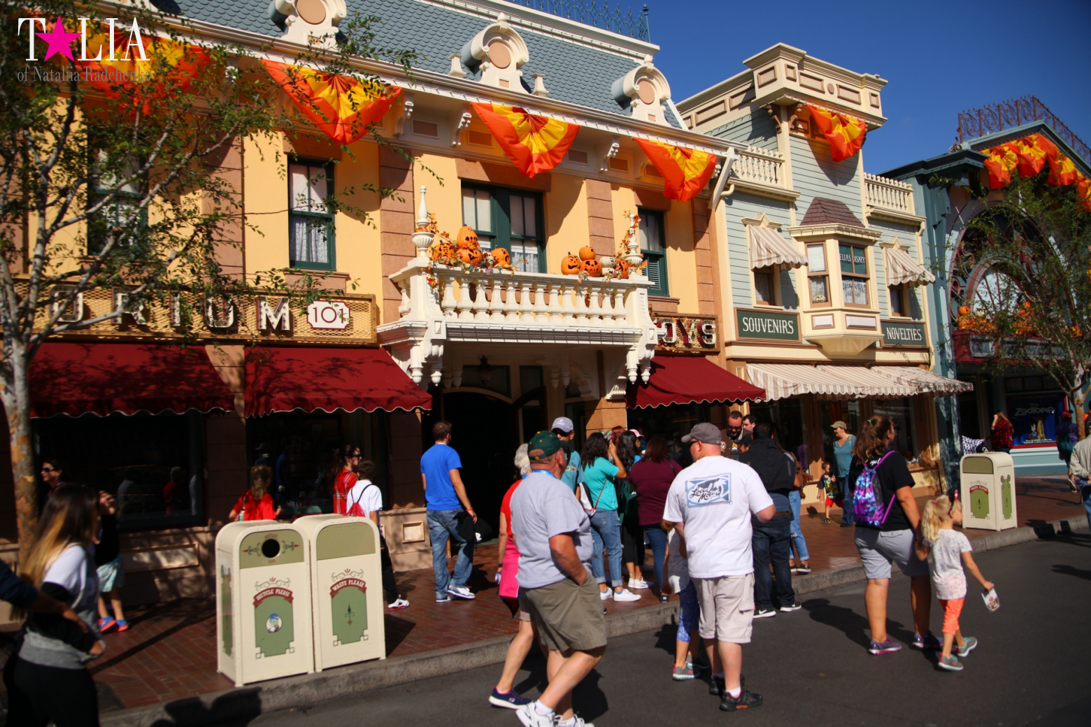 How to celebrate Halloween at the American Disneyland - decoration of the park  for Halloween