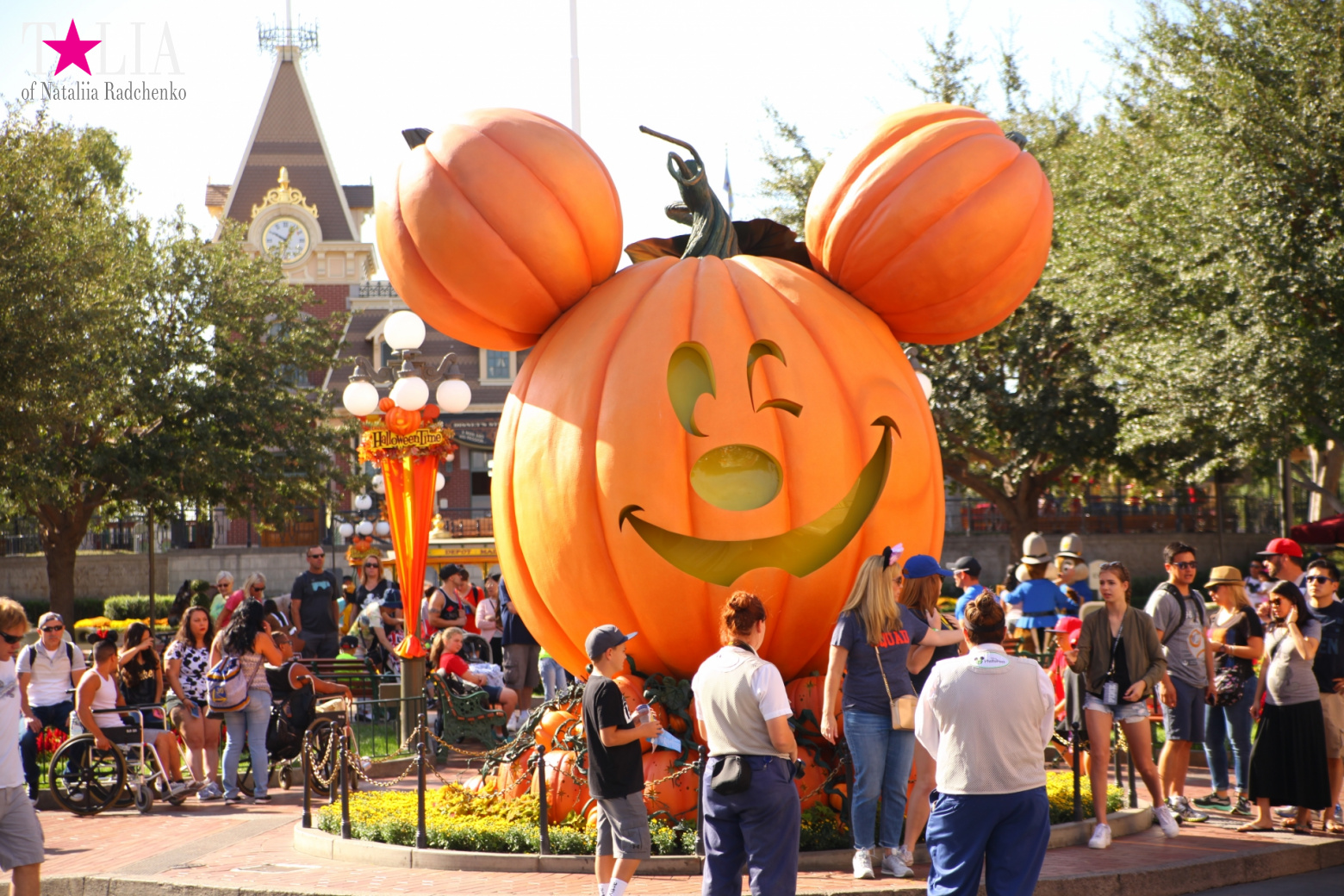 How to celebrate Halloween at the American Disneyland - decoration of the park  for Halloween