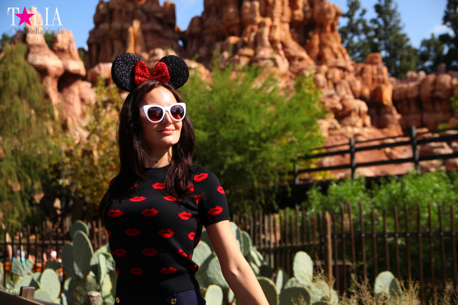 Диснейленд в Калифорнии (Анахайм, Лос Анжелес). Аттракционы