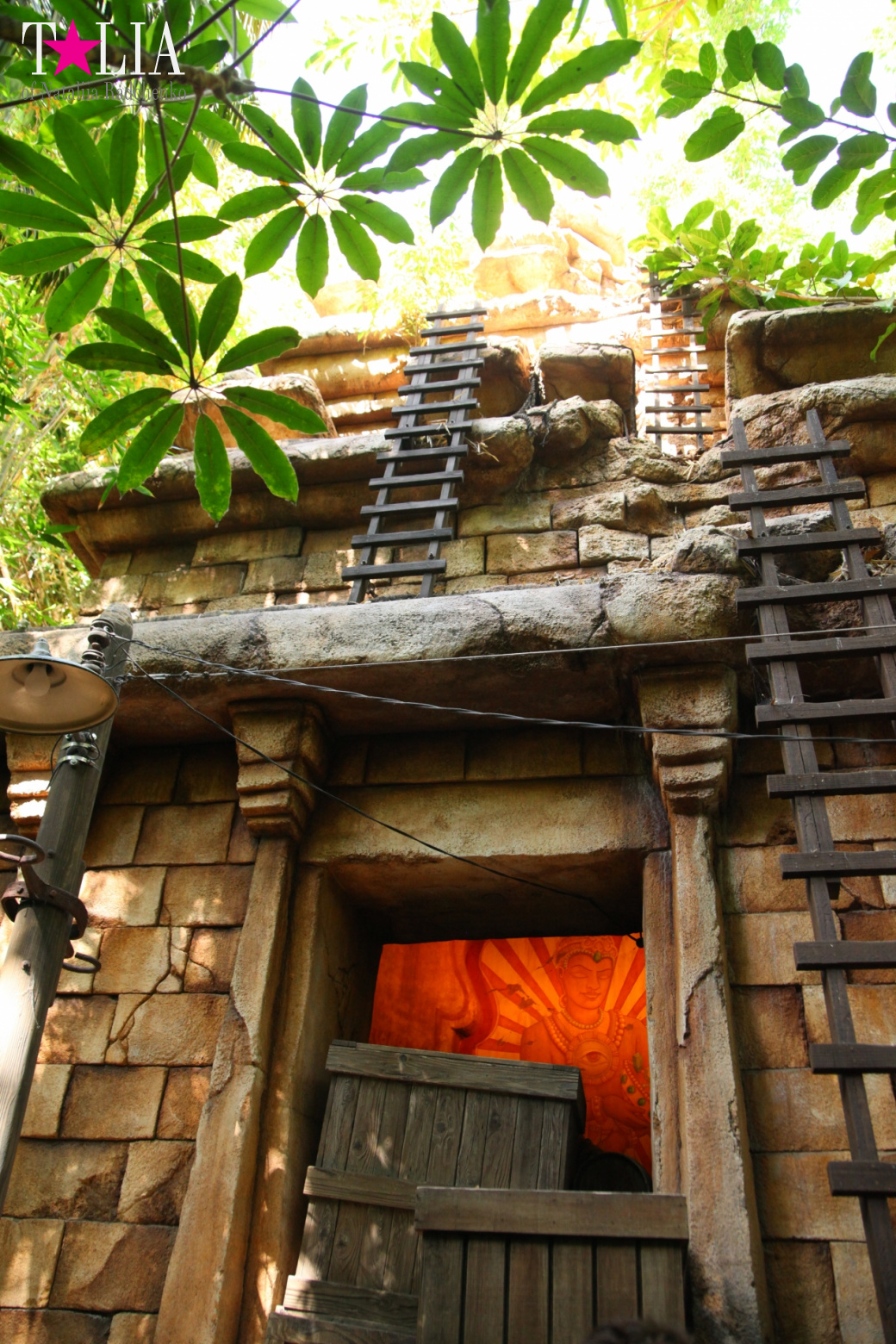 Диснейленд в Калифорнии (Анахайм, Лос Анжелес). Аттракционы