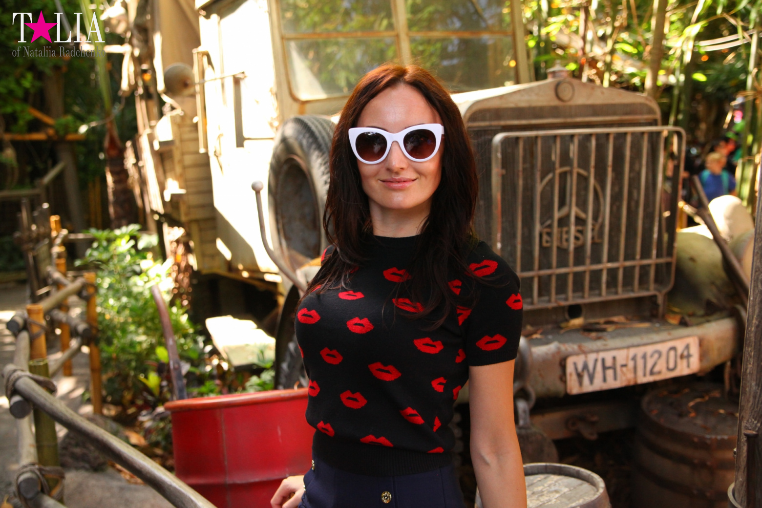 Диснейленд в Калифорнии (Анахайм, Лос Анжелес). Аттракционы