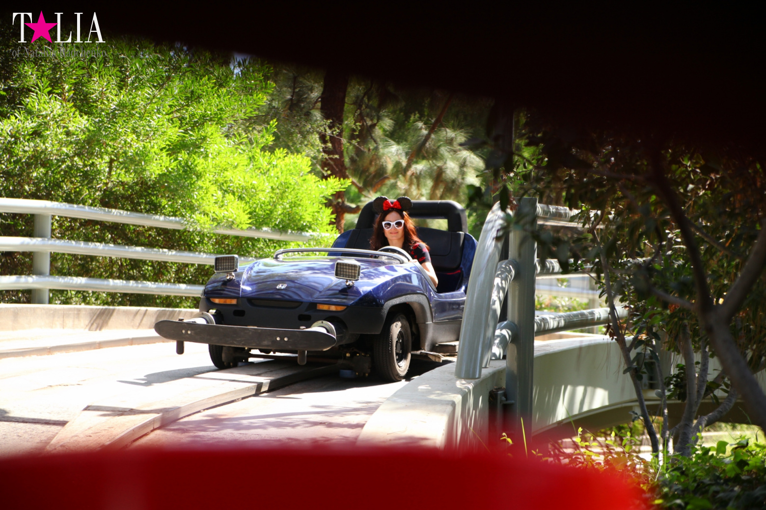 Диснейленд в Калифорнии (Анахайм, Лос Анжелес). Аттракционы