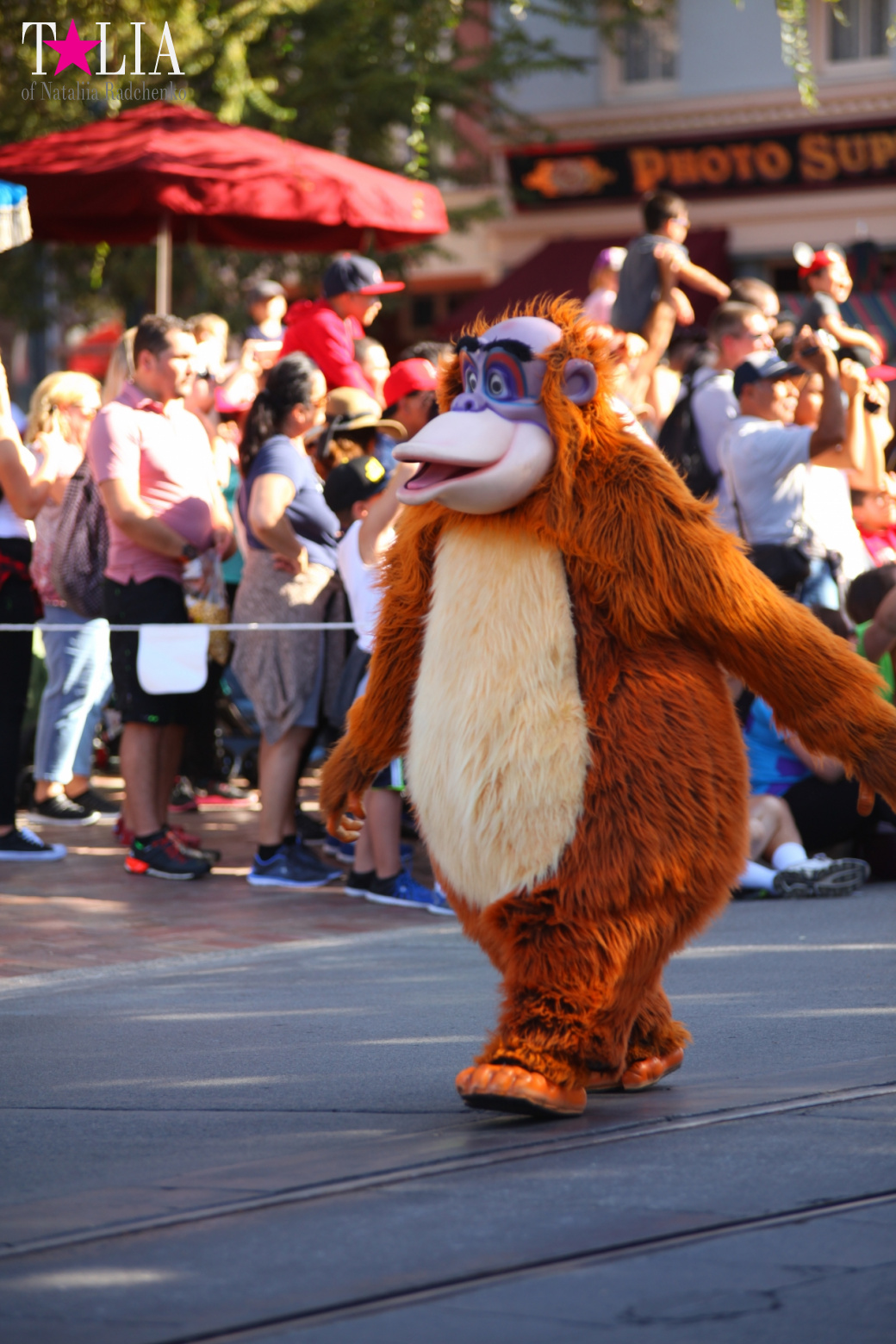 Mickey's Parade in Disneyland Park of California (Anaheim, Los Angeles)