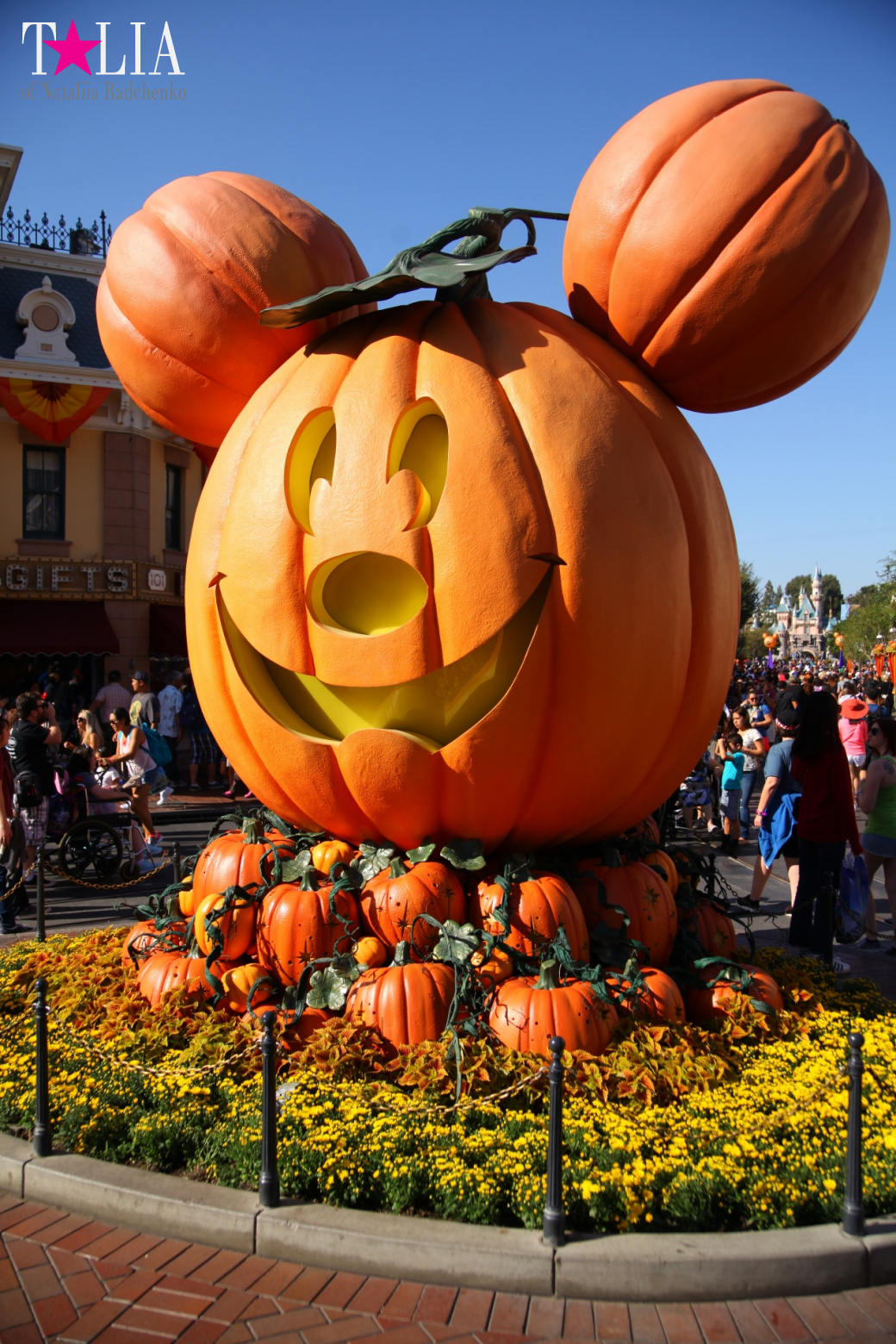 How to celebrate Halloween at the American Disneyland - decoration of the park  for Halloween
