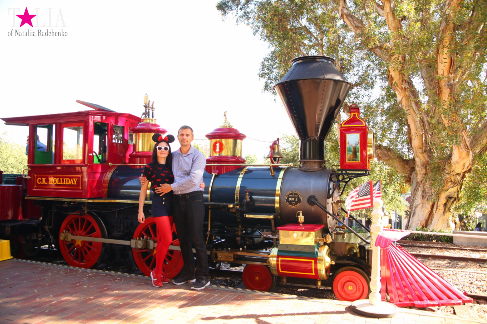 Диснейленд в Калифорнии (Анахайм, Лос Анжелес). Аттракционы