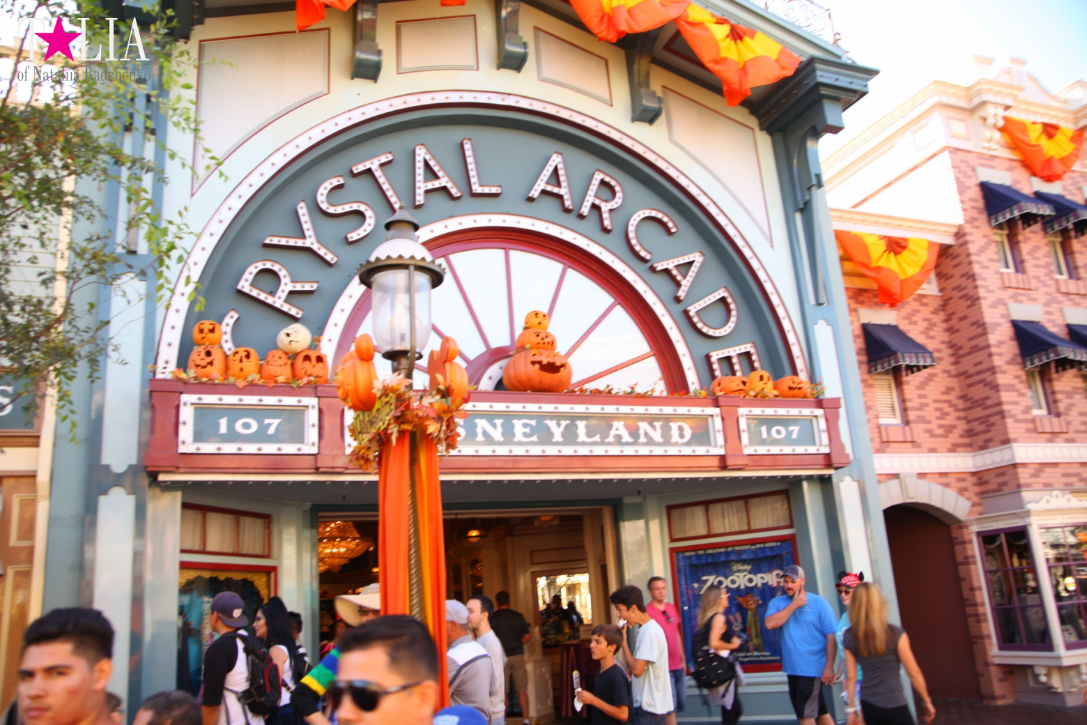 How to celebrate Halloween at the American Disneyland - decoration of the park  for Halloween