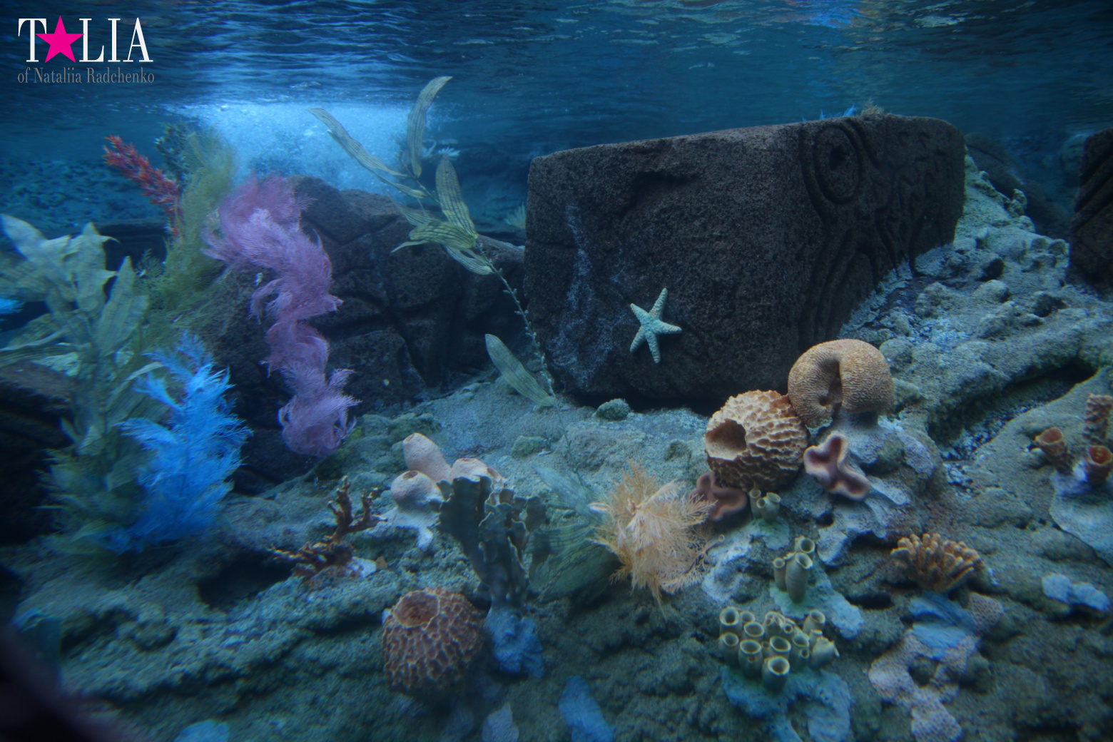 Диснейленд в Калифорнии (Анахайм, Лос Анжелес). Аттракционы