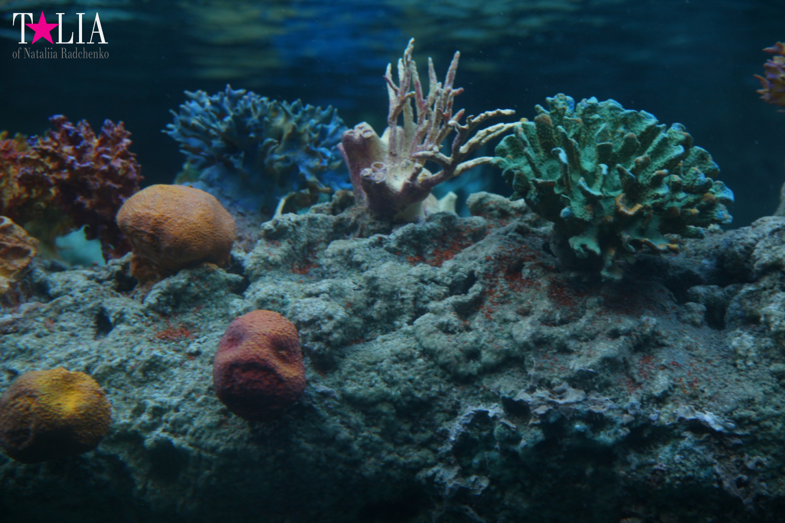 Диснейленд в Калифорнии (Анахайм, Лос Анжелес). Аттракционы