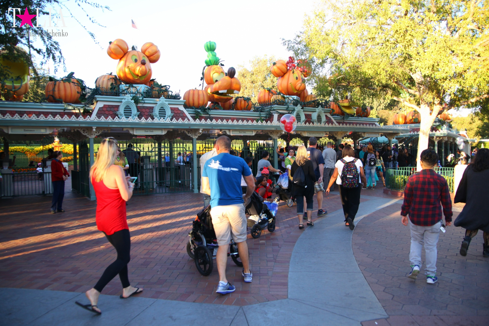 How to celebrate Halloween at the American Disneyland - decoration of the park  for Halloween