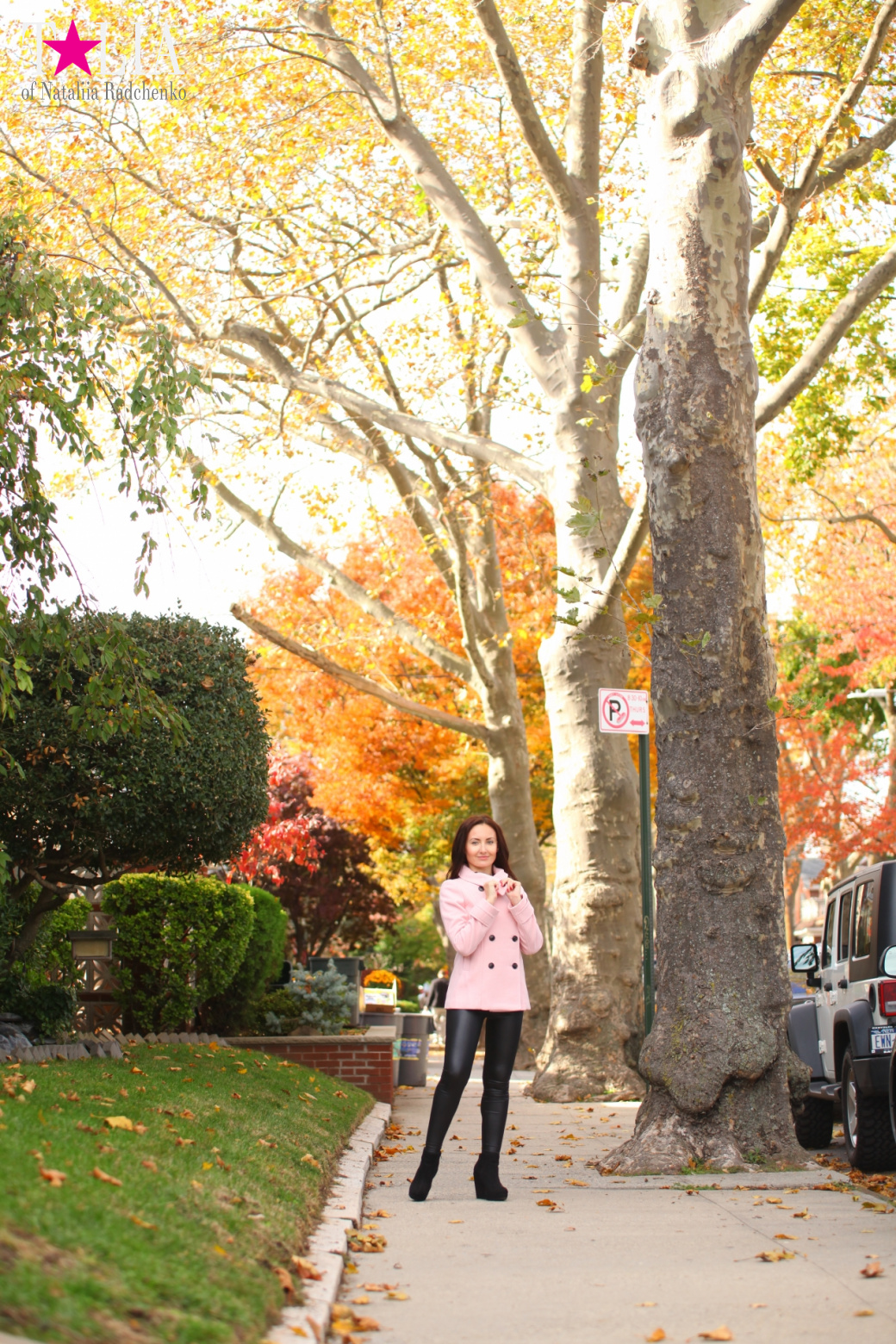 Fall of Bay Ridge in New York City