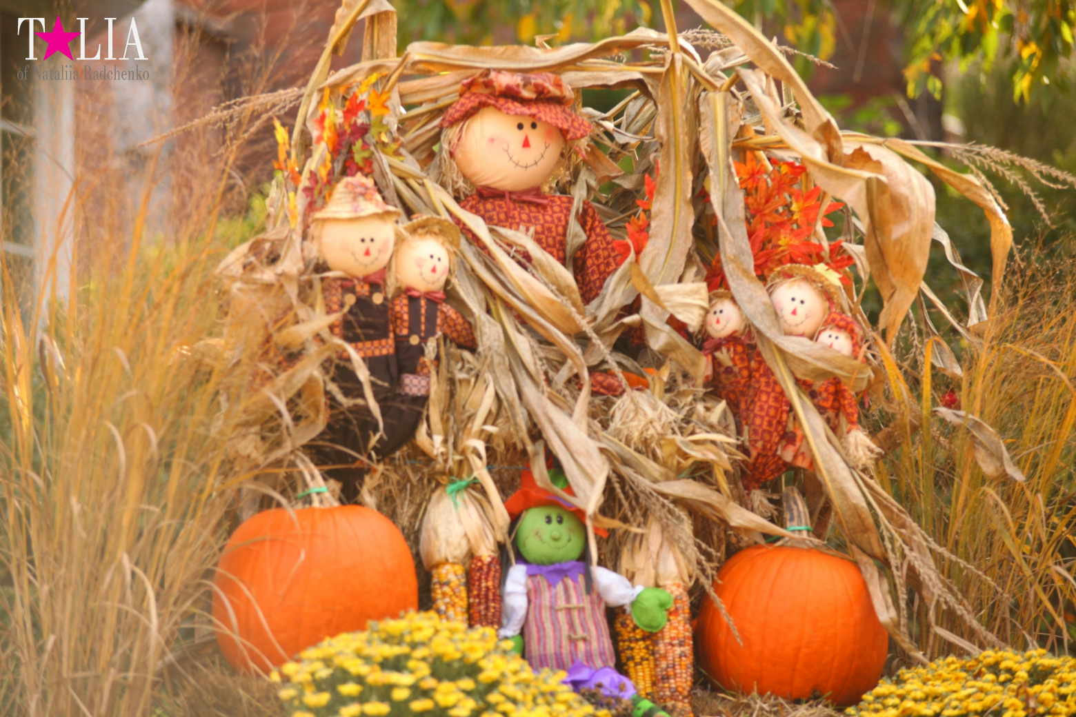 Fall of Bay Ridge in New York City