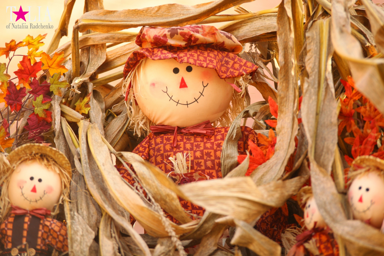 Fall of Bay Ridge in New York City