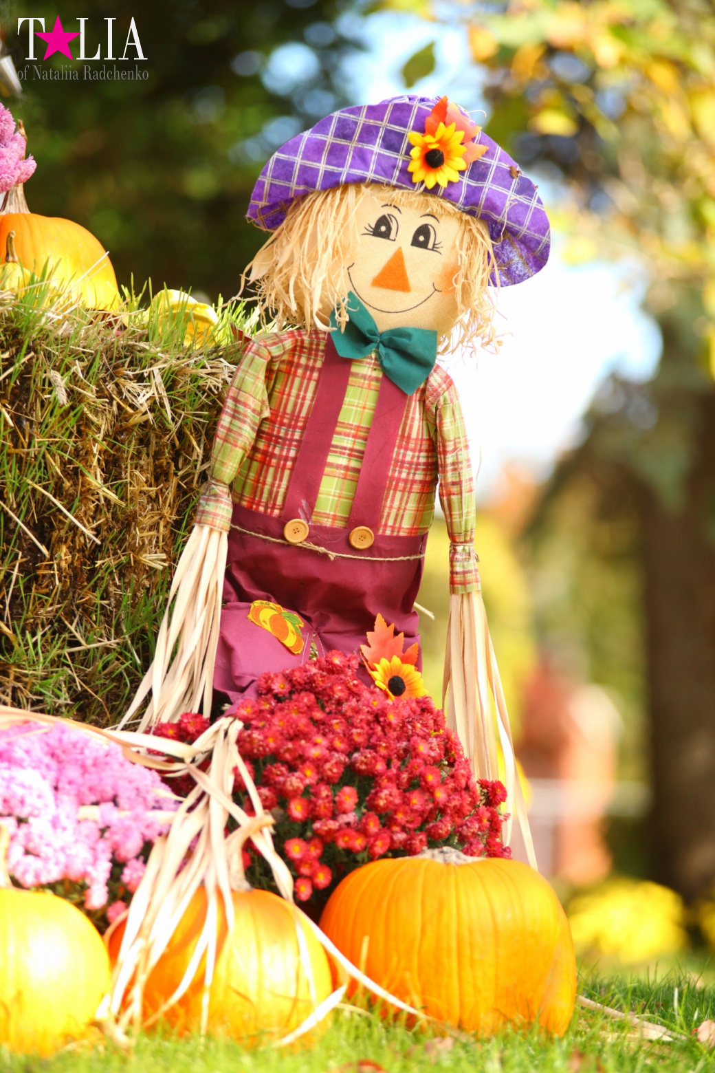 Fall of Bay Ridge in New York City