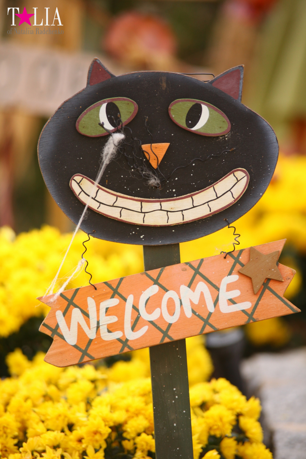 Fall of Bay Ridge in New York City