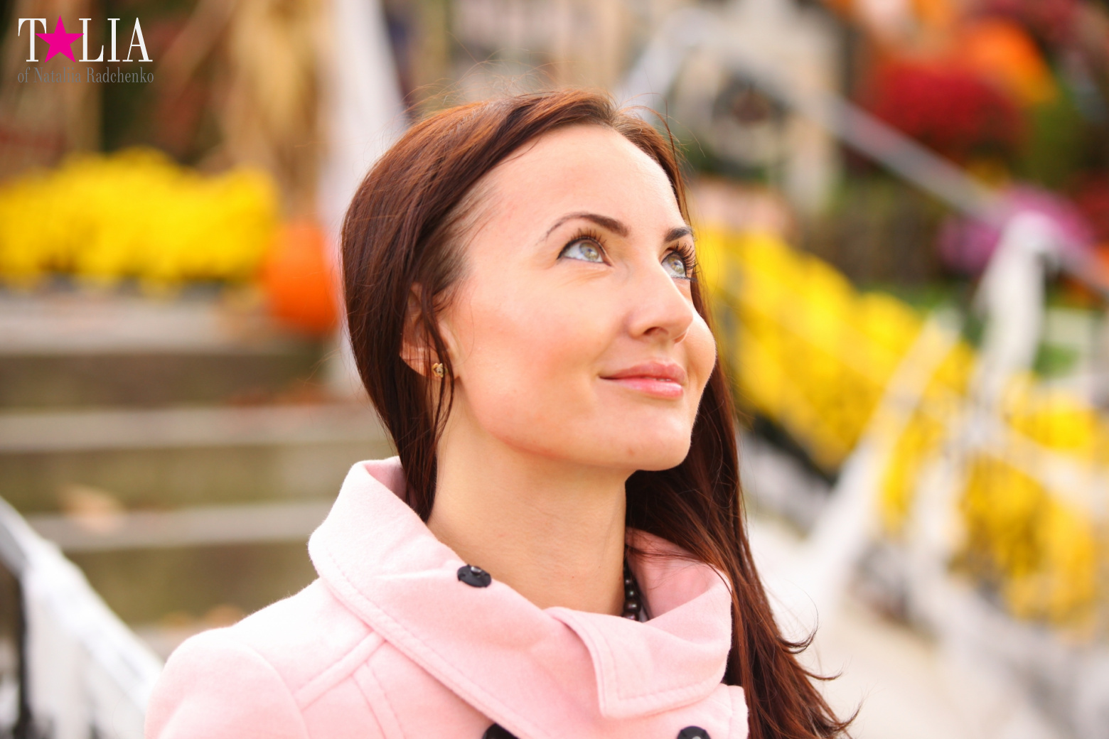 Fall of Bay Ridge in New York City