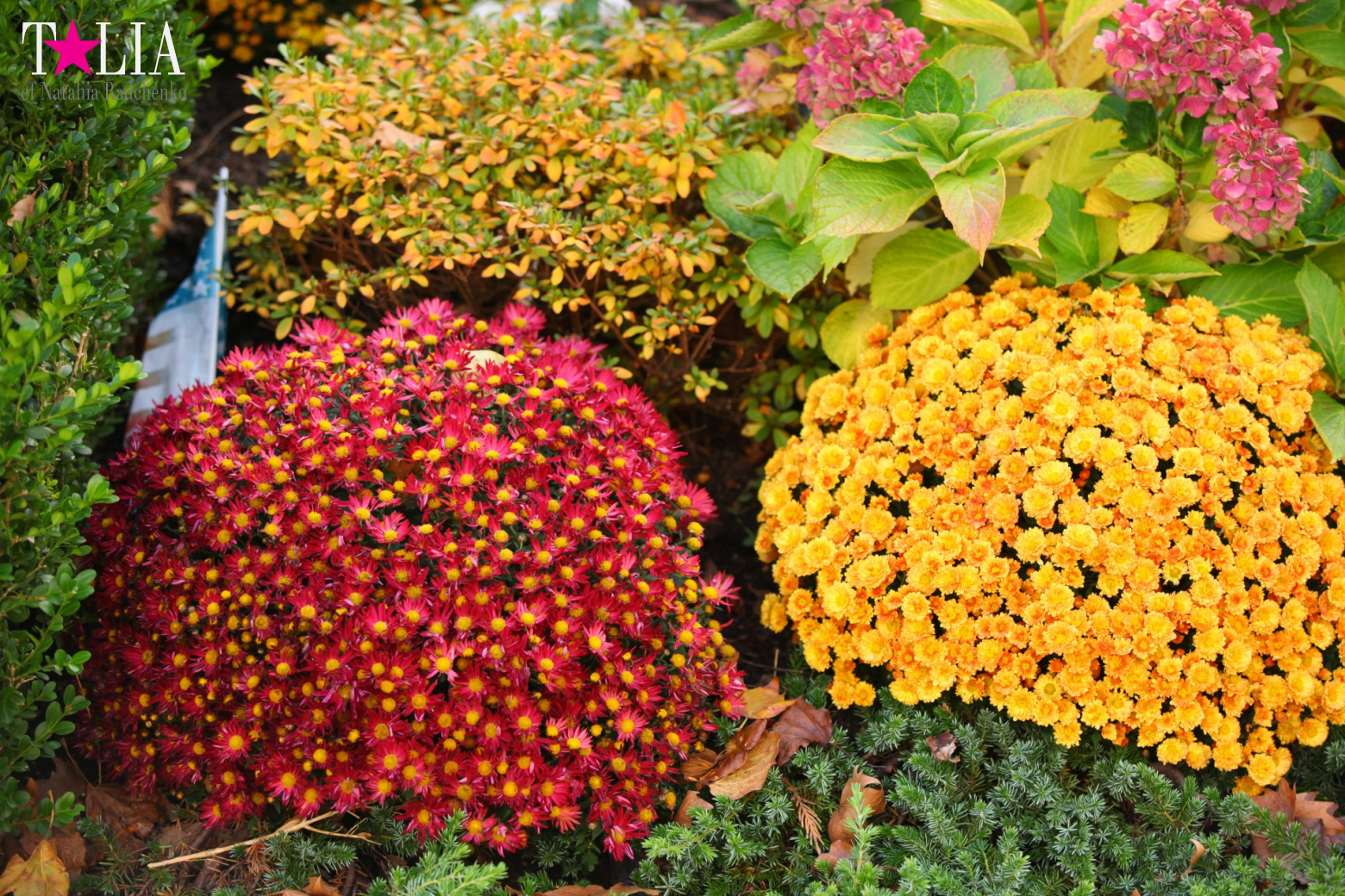 Fall of Bay Ridge in New York City