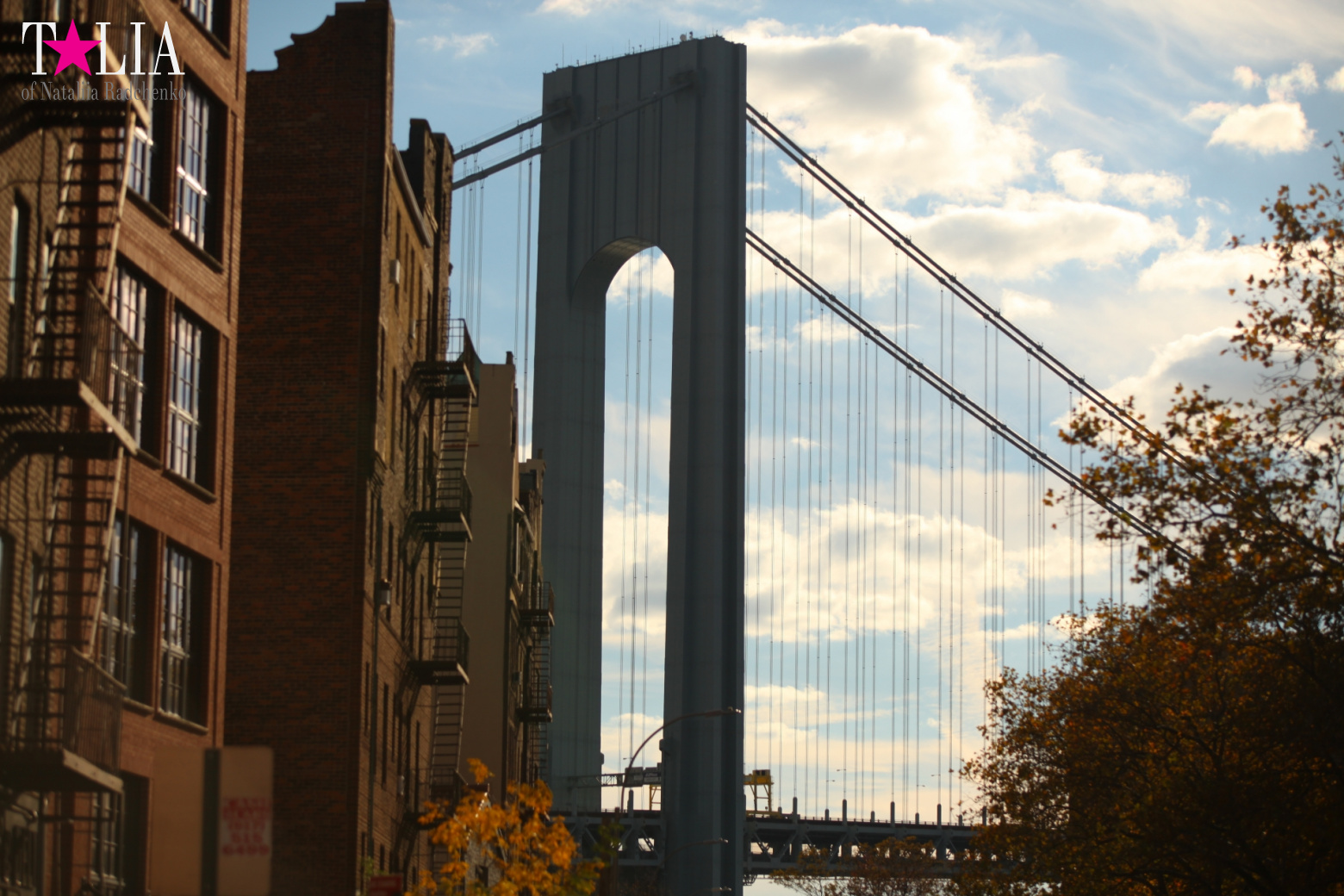 Fall of Bay Ridge in New York City