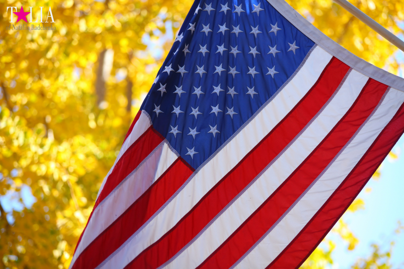 Огромная благодарность всем посетителям портала "Talia24.com" в День Благодарения 2016