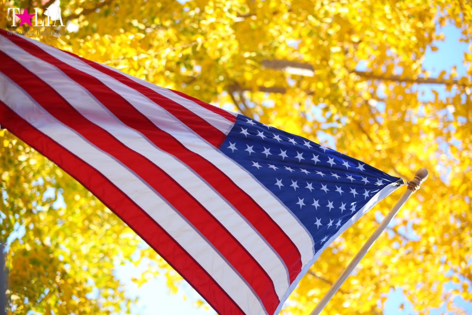 Огромная благодарность всем посетителям портала "Talia24.com" в День Благодарения 2016