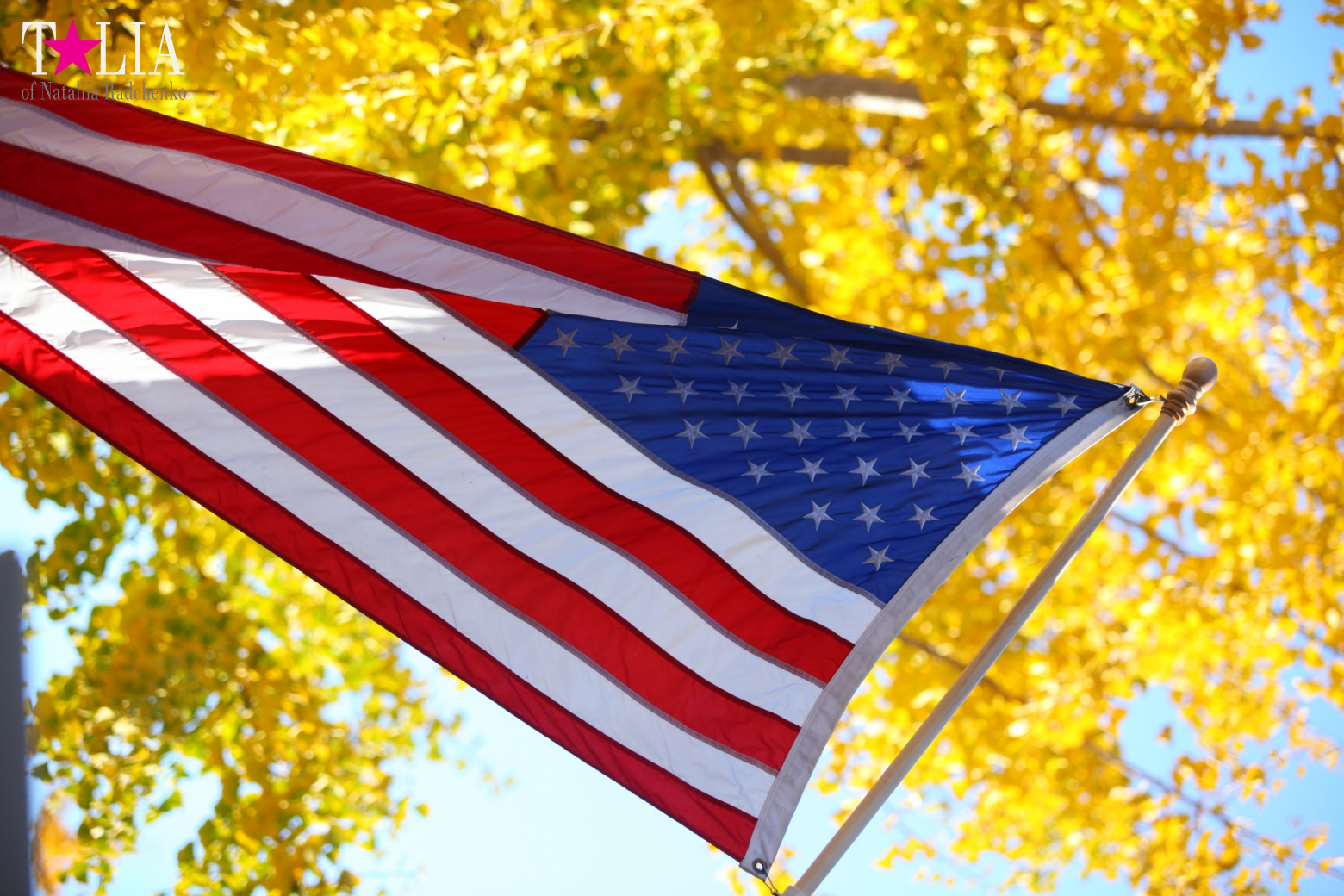 Огромная благодарность всем посетителям портала "Talia24.com" в День Благодарения 2016