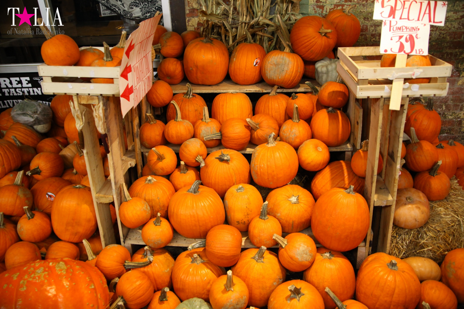 Our Thanksgiving day 2016 in Chelsea Market of New York City