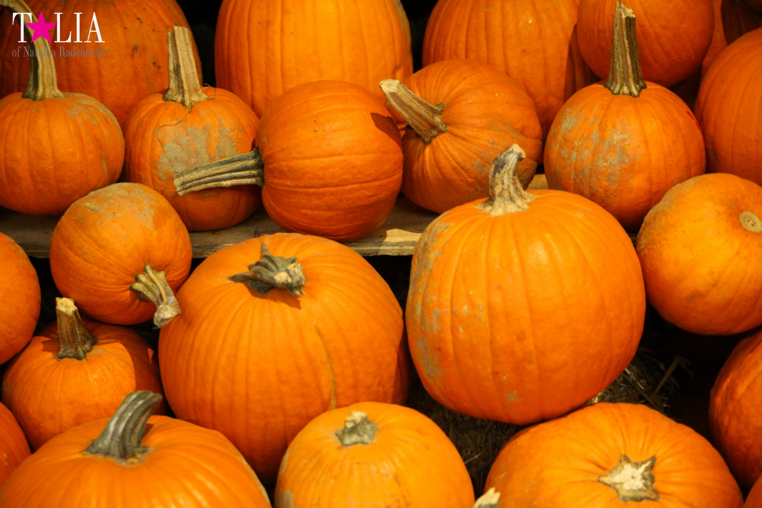 Our Thanksgiving day 2016 in Chelsea Market of New York City