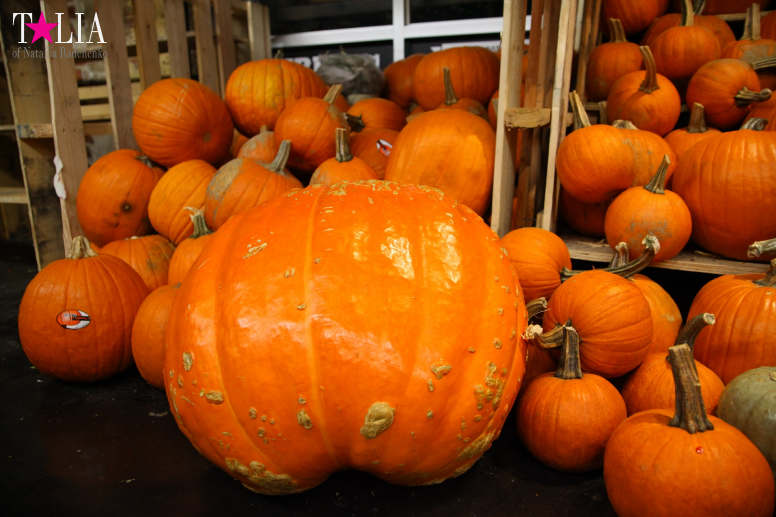 Our Thanksgiving day 2016 in Chelsea Market of New York City