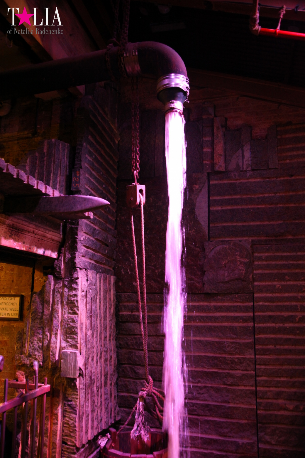 Our Thanksgiving day 2016 in Chelsea Market of New York City