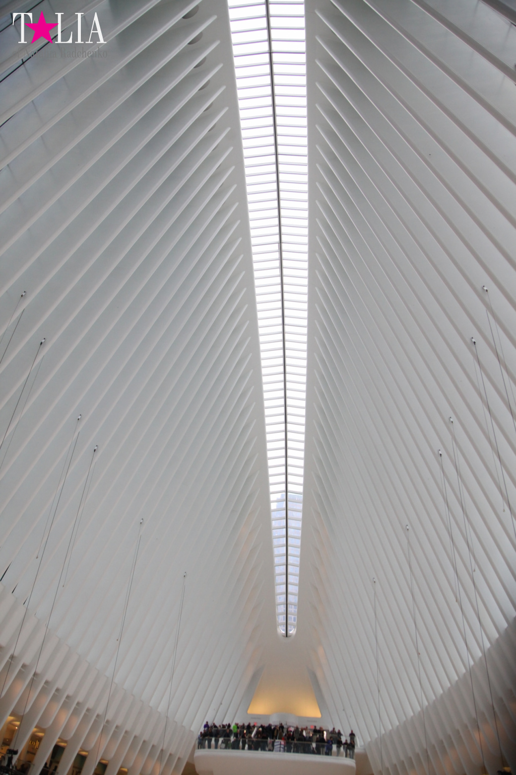 The most expensive train station and mall in the world. Oculus in New York City