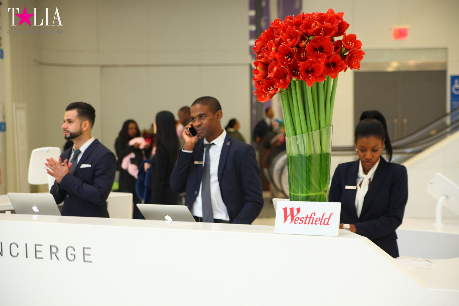 The most expensive train station and mall in the world. Oculus in New York City