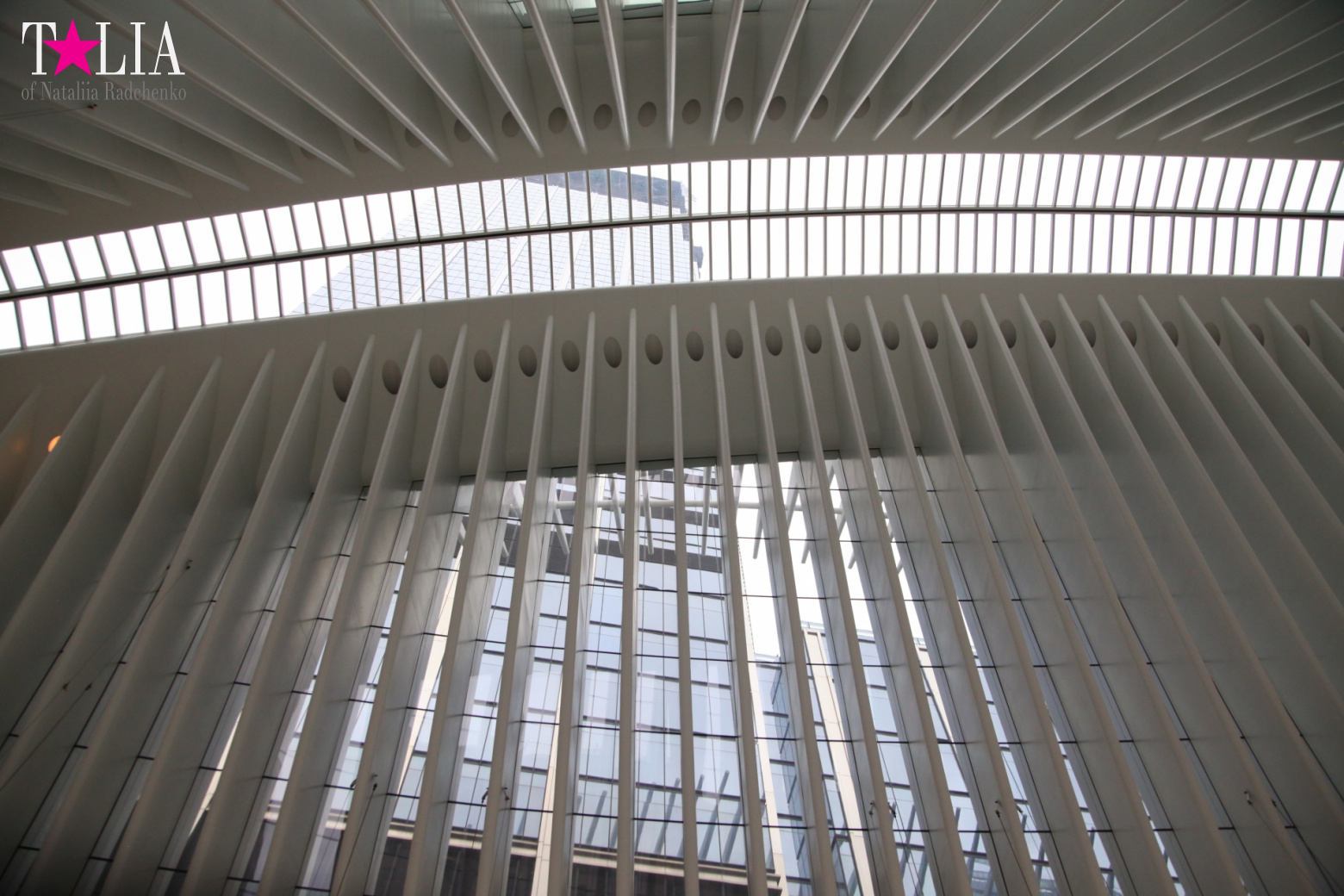 The most expensive train station and mall in the world. Oculus in New York City