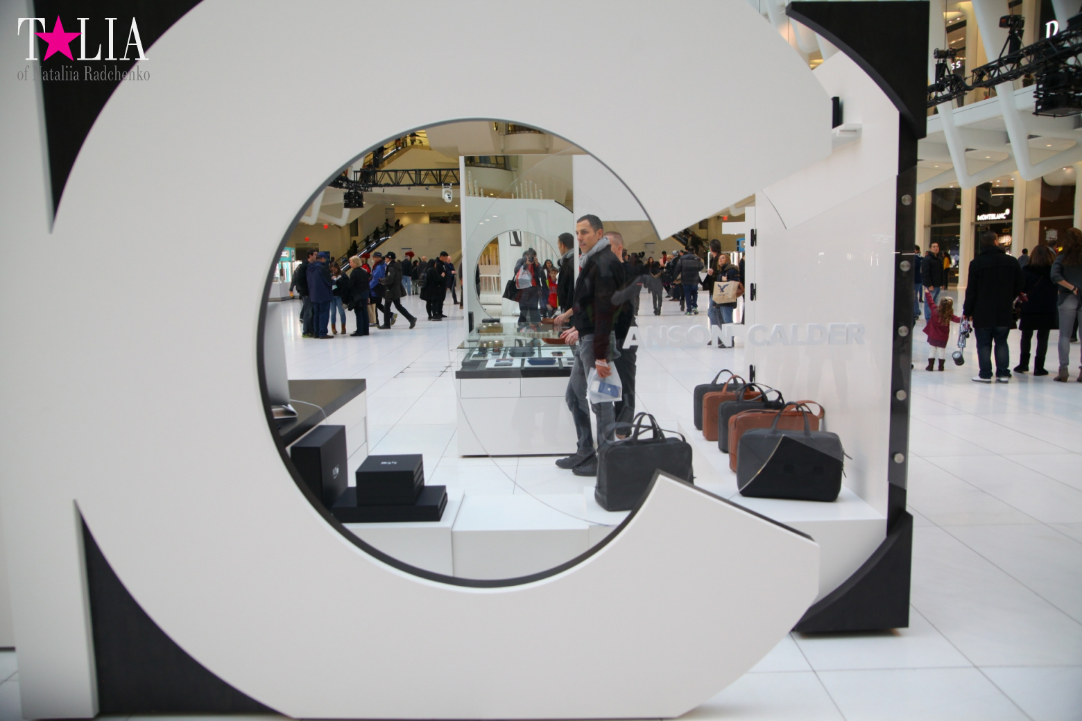 The most expensive train station and mall in the world. Oculus in New York City