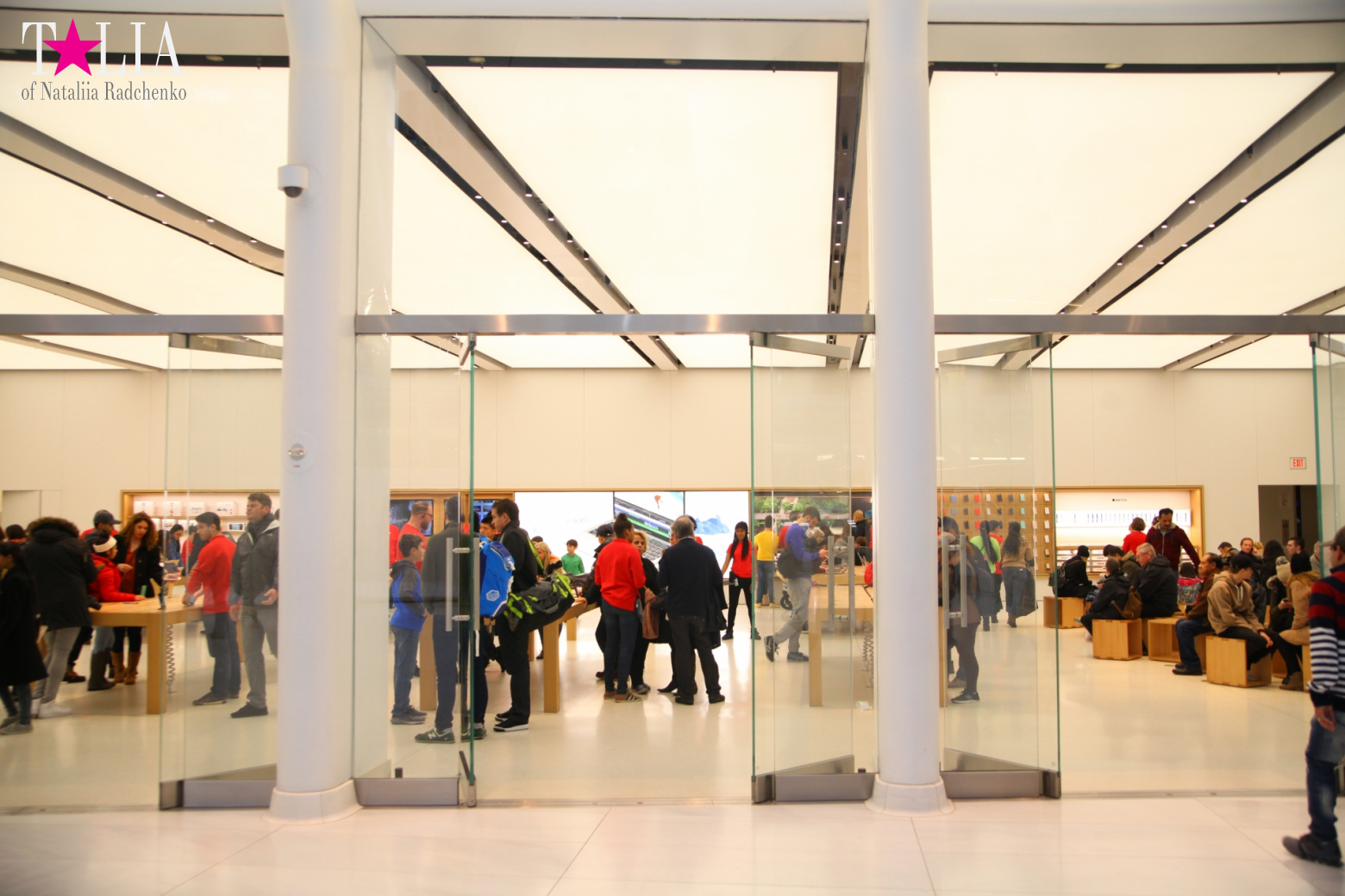 The most expensive train station and mall in the world. Oculus in New York City