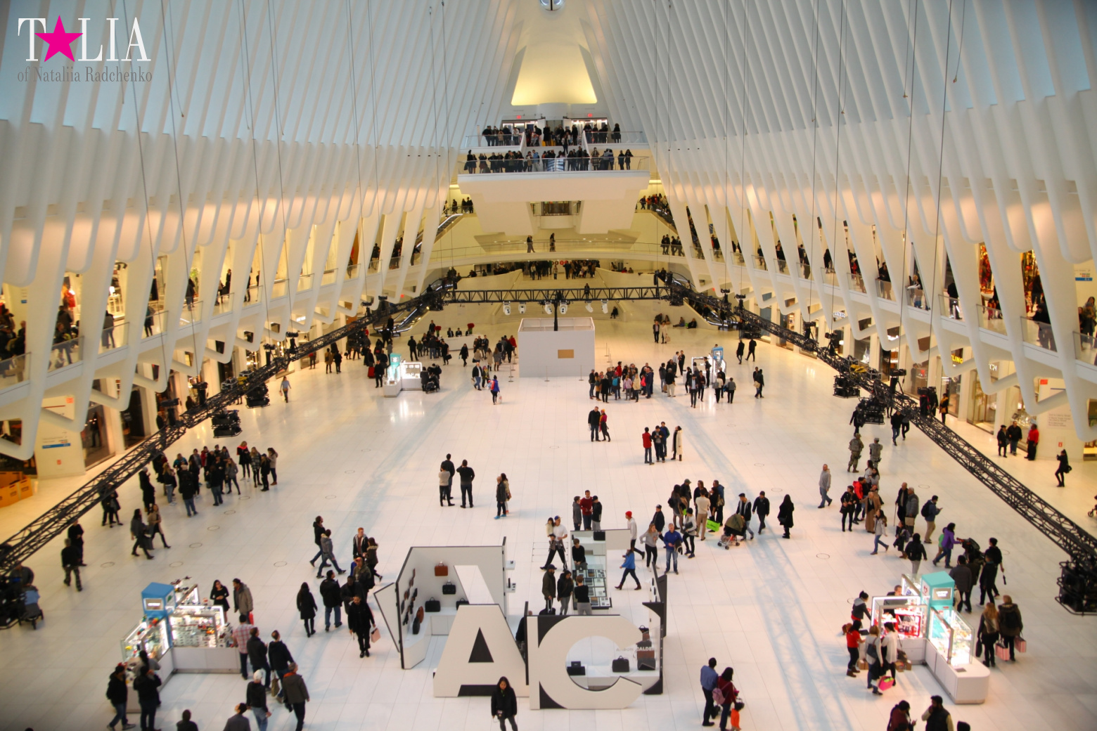 The most expensive train station and mall in the world. Oculus in New York City