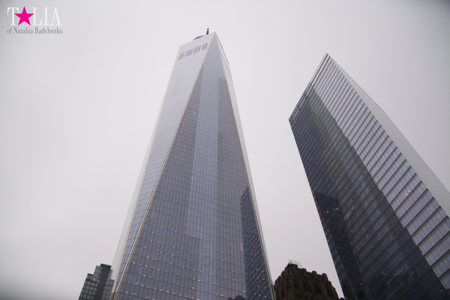 The most expensive train station and mall in the world. Oculus in New York City