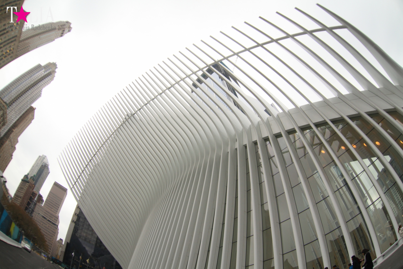 The most expensive train station and mall in the world. Oculus in New York City