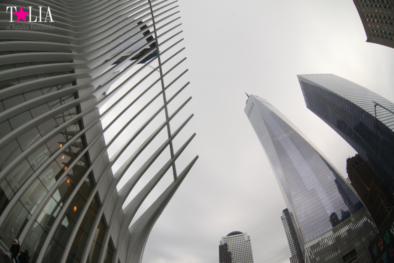 Самый дорогой в мире вокзал-молл Oculus в Нью-Йорке