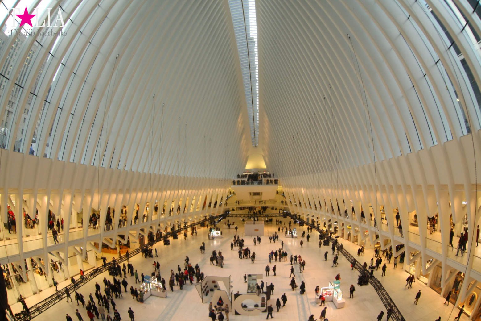 The most expensive train station and mall in the world. Oculus in New York City