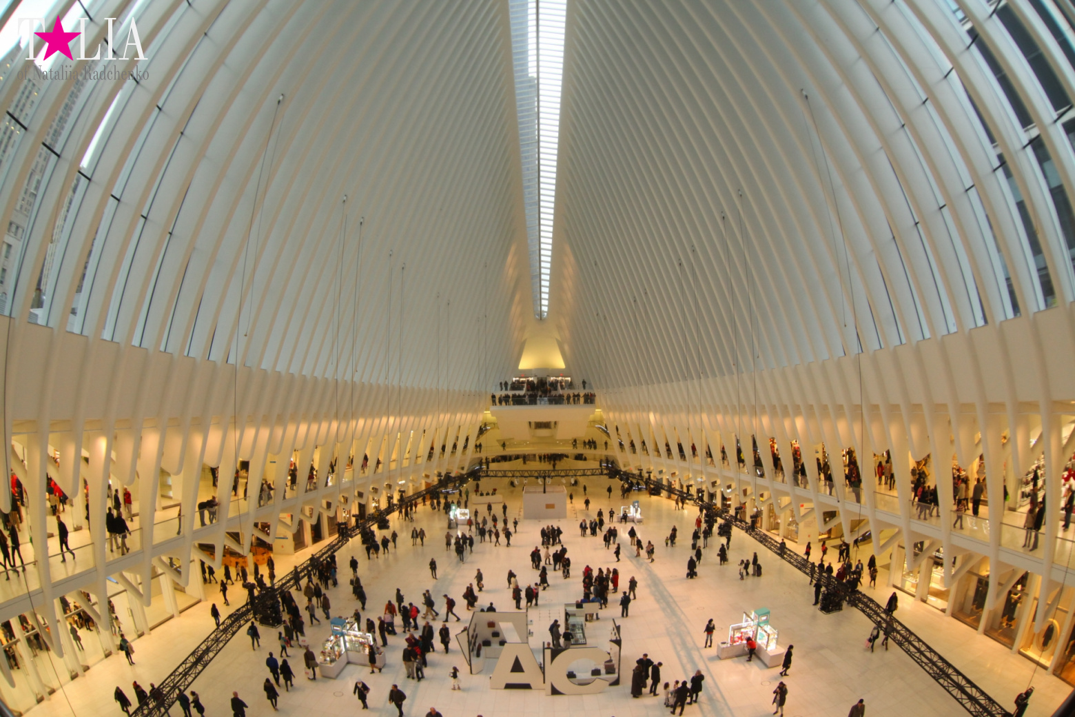 The most expensive train station and mall in the world. Oculus in New York City