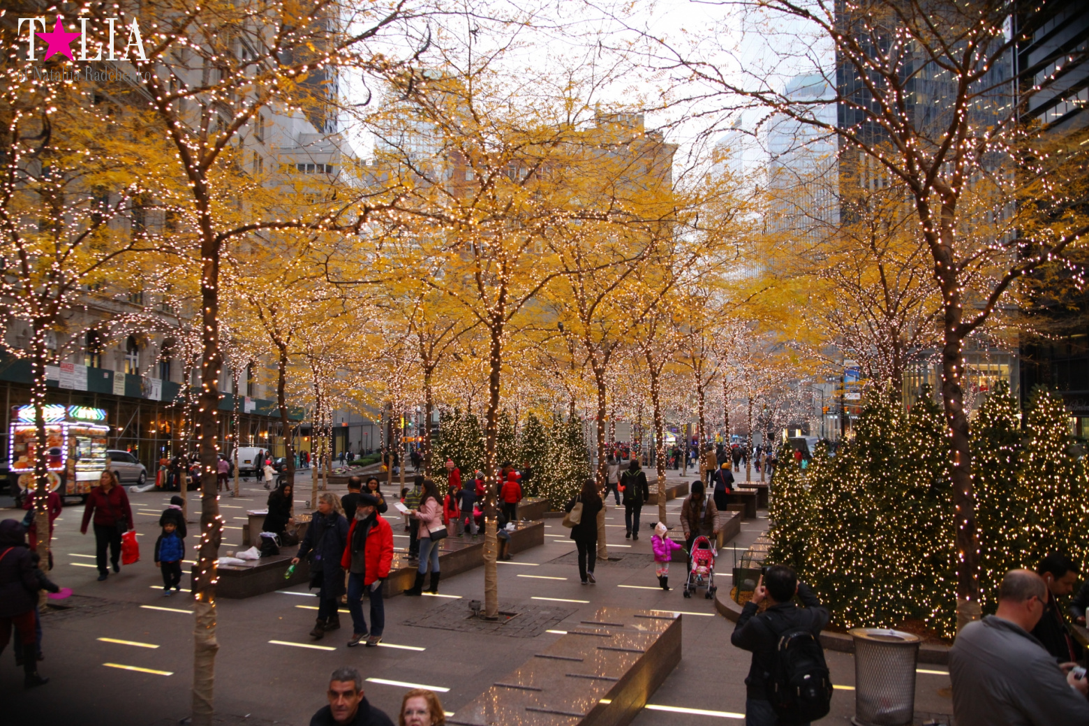 Preparation of New York for Christmas and New Year 2017. Manhattan + Bay Ridge