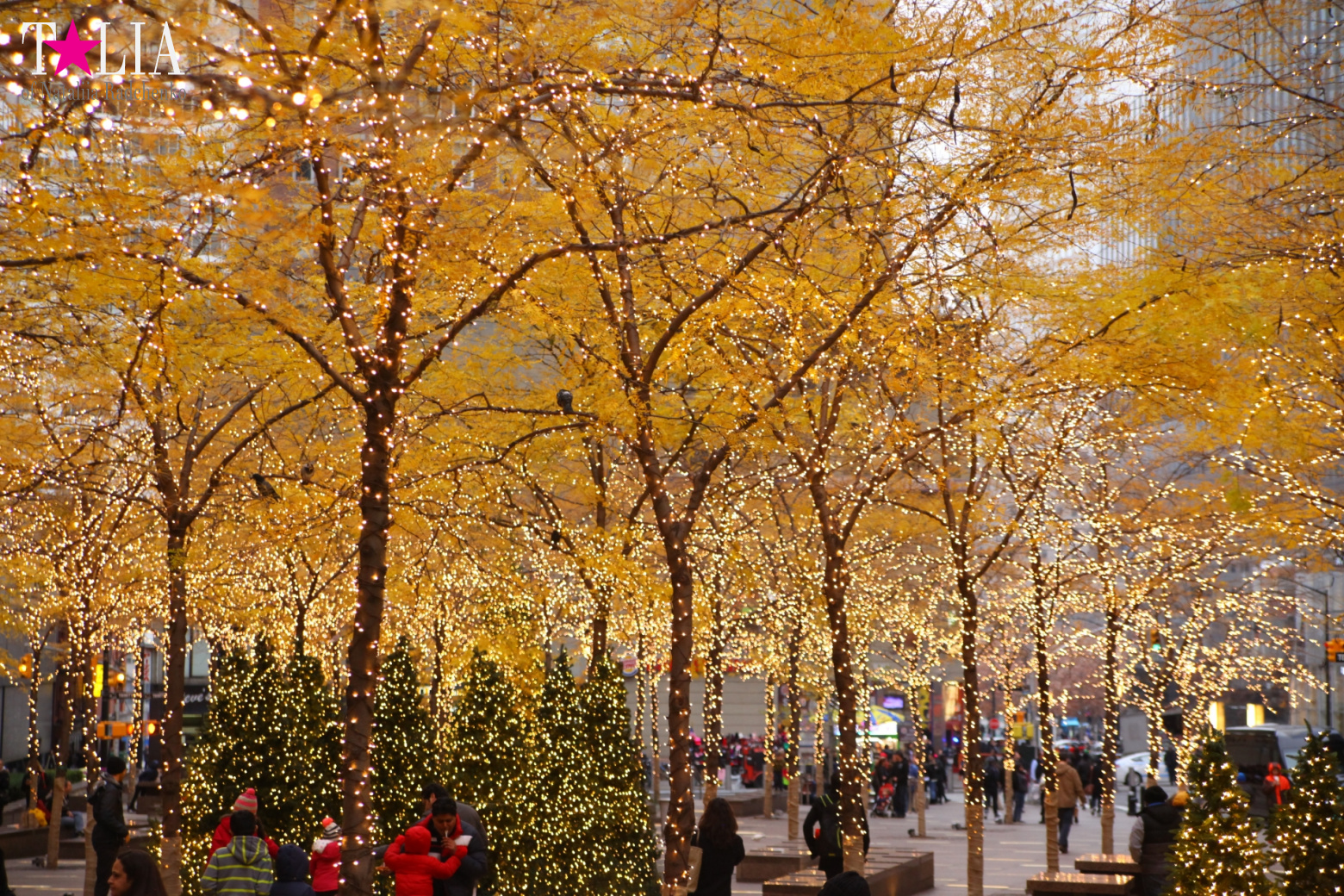 Preparation of New York for Christmas and New Year 2017. Manhattan + Bay Ridge