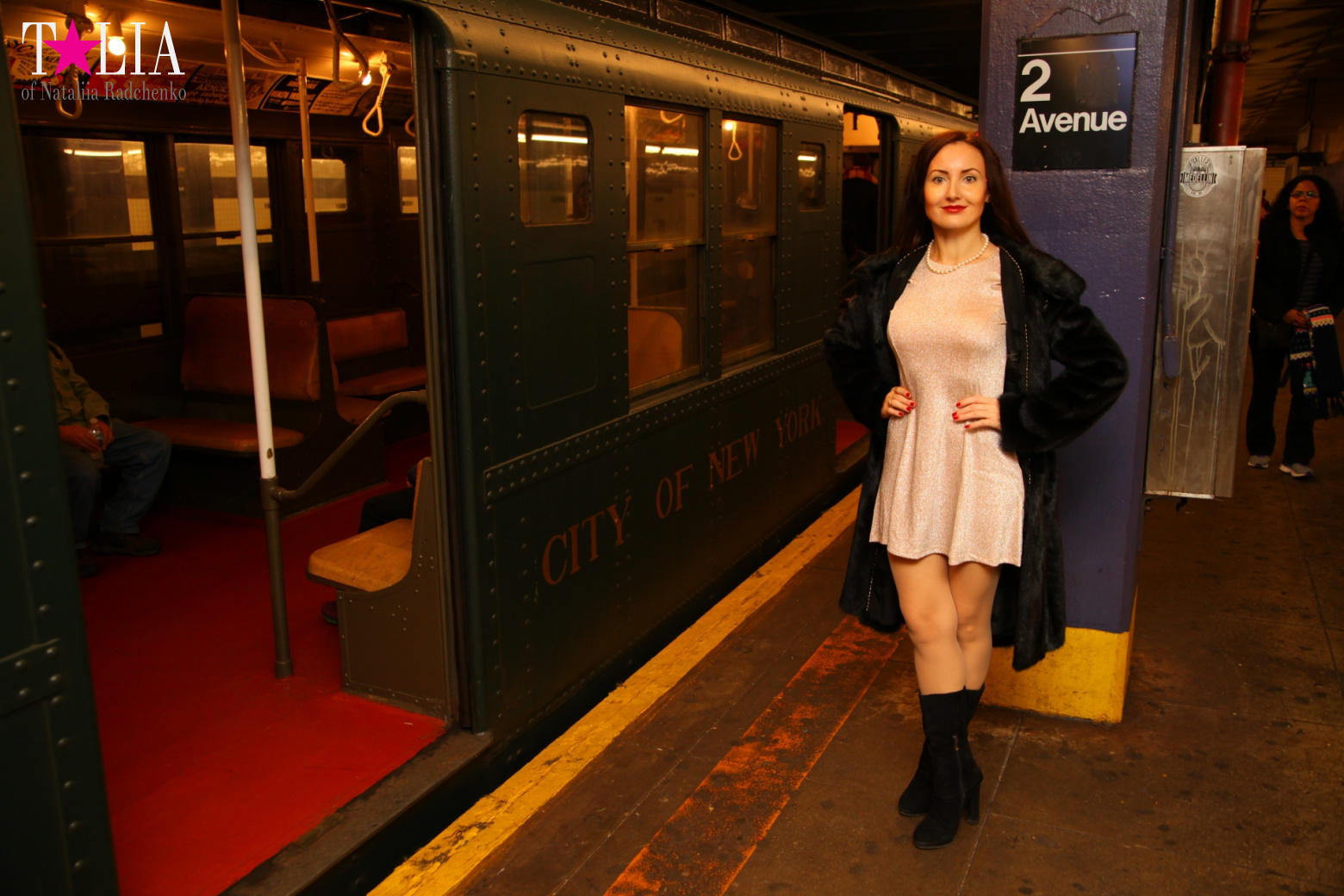 The Holiday Nostalgia Train in New York 2016