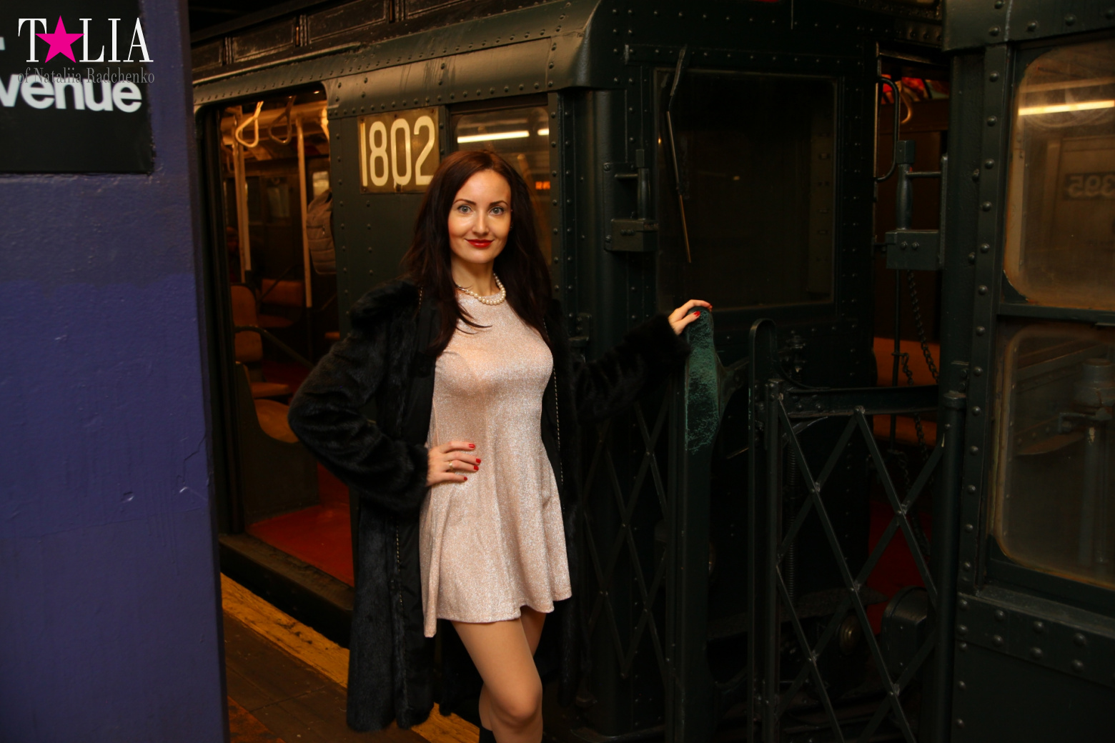 The Holiday Nostalgia Train in New York 2016