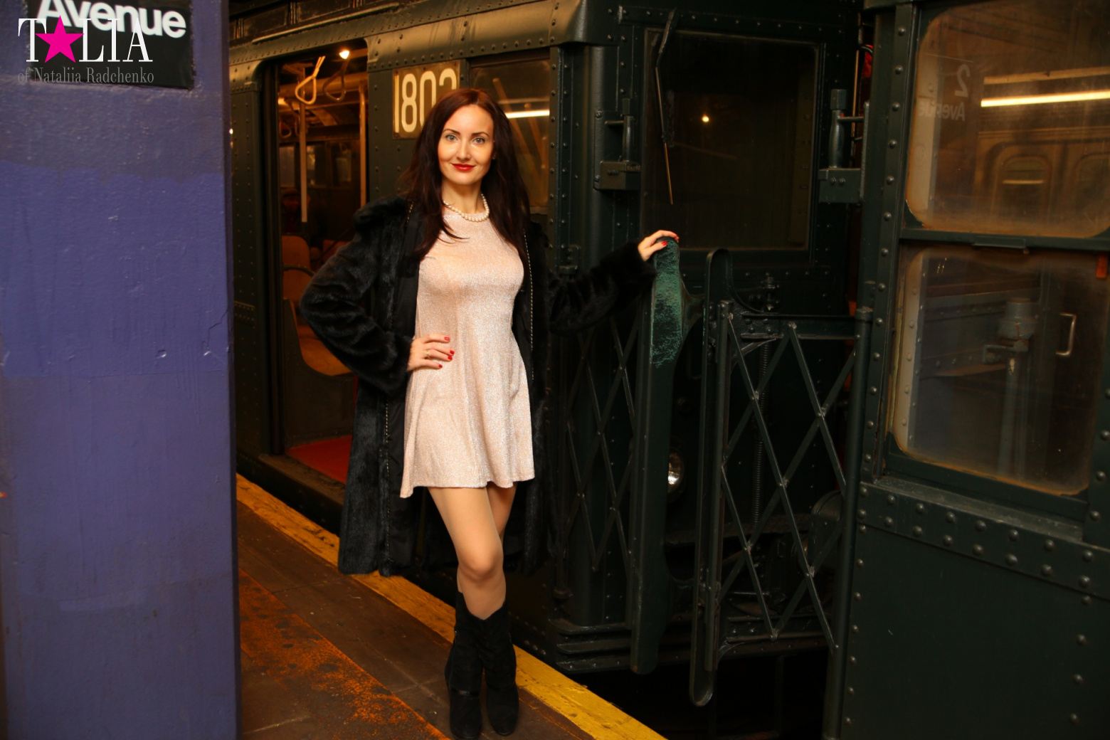 The Holiday Nostalgia Train in New York 2016