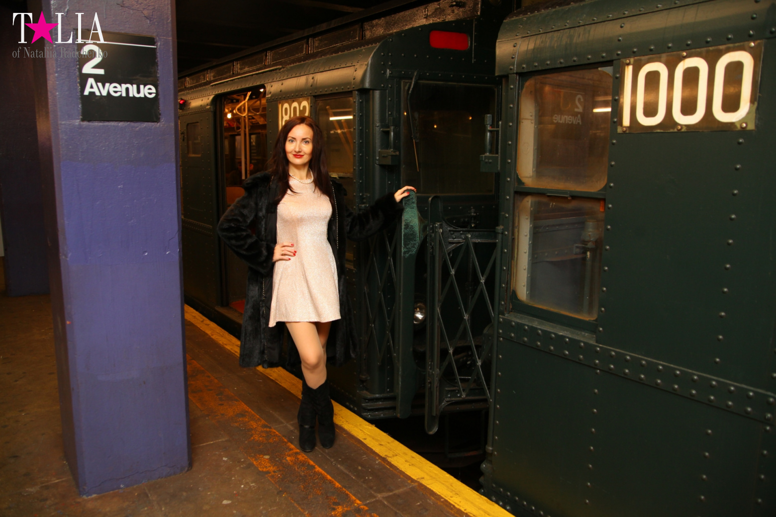 The Holiday Nostalgia Train in New York 2016