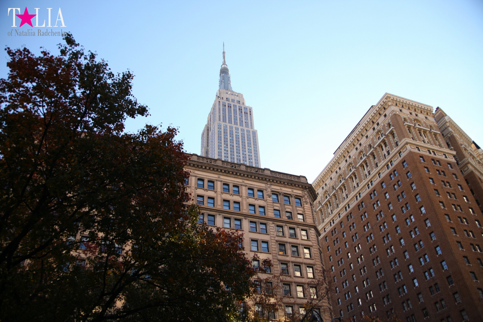 Новогодние и рождественские витрины магазинов Нью-Йорка 2016 - Macy's