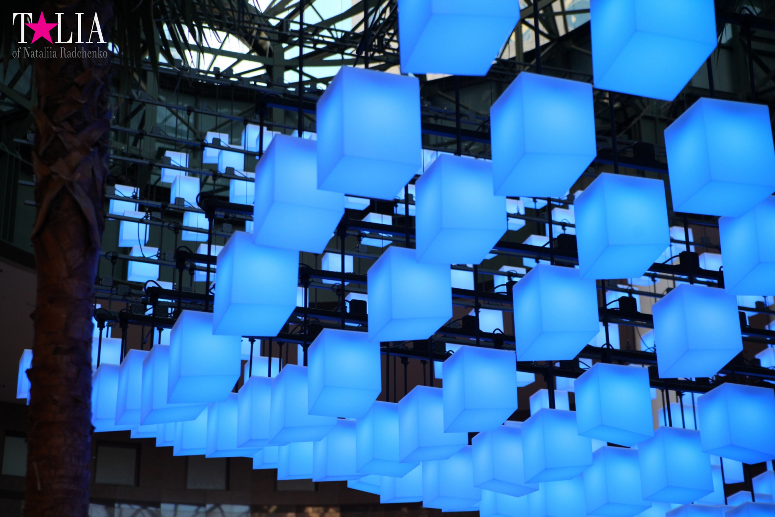 Световая инсталляция Luminaries в Зимнем саду Брукфилд Плейс Всемирного Финансового Центра, Нью-Йорк-Сити