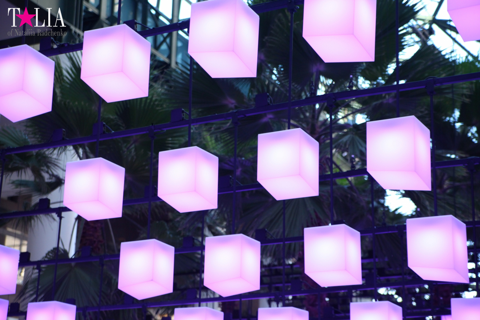 Световая инсталляция Luminaries в Зимнем саду Брукфилд Плейс Всемирного Финансового Центра, Нью-Йорк-Сити